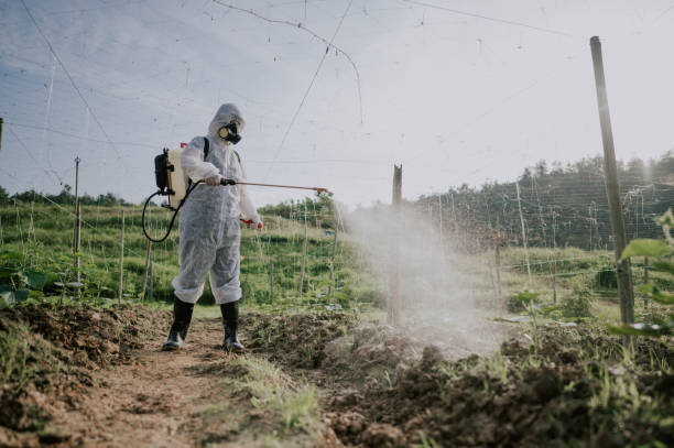 Best Commercial Pest Control Services  in Crosbyton, TX