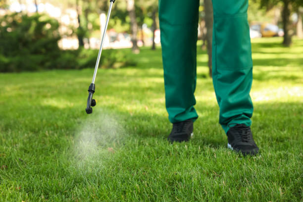 Best Emergency Pest Control  in Crosbyton, TX