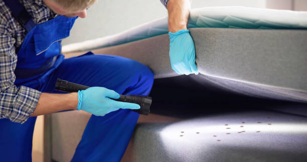 Best Bed Bug Extermination  in Crosbyton, TX
